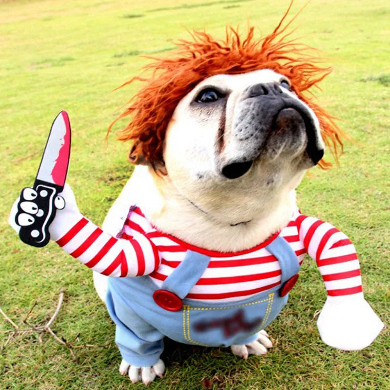 Chucky the Puppy