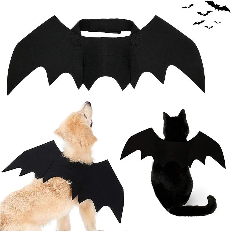 Bat Cat Costume