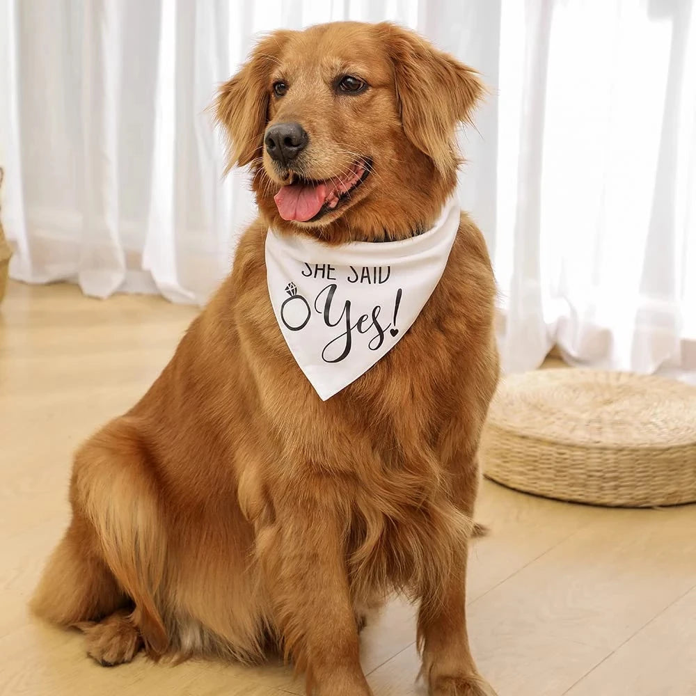 Wedding Bandana