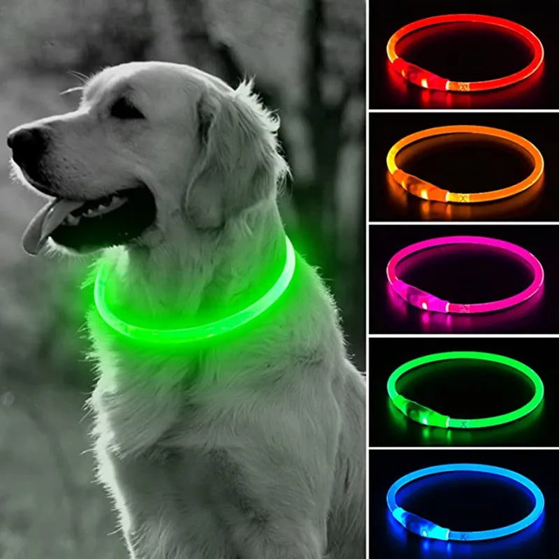 Luminous Dog Collar