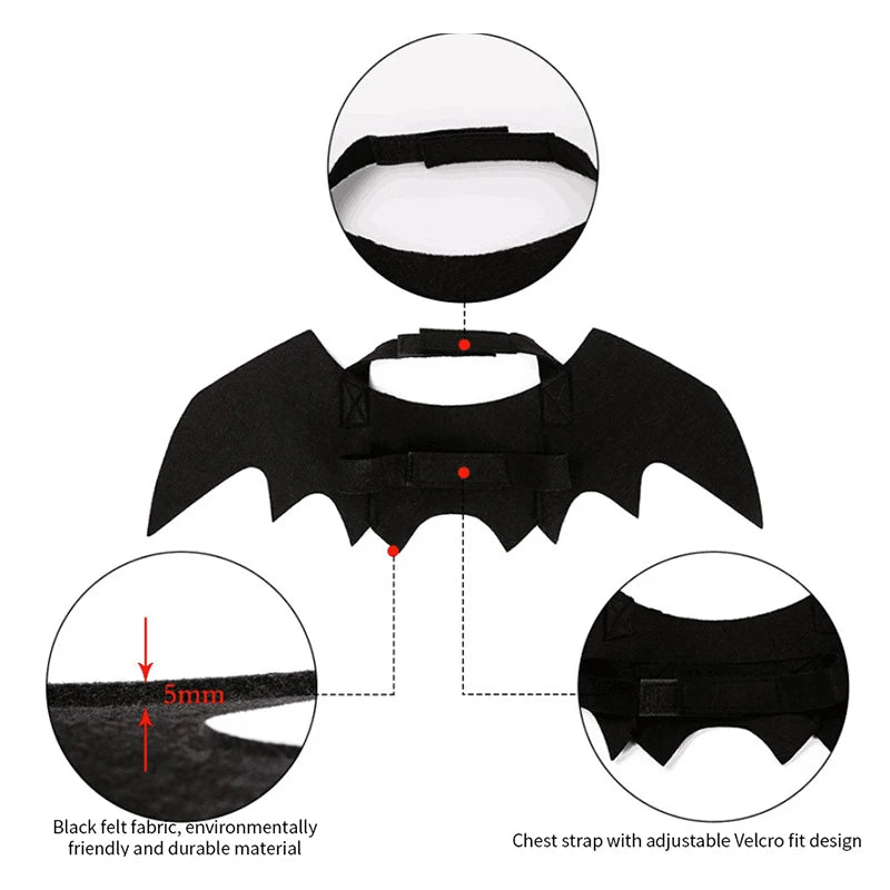 Bat Cat Costume