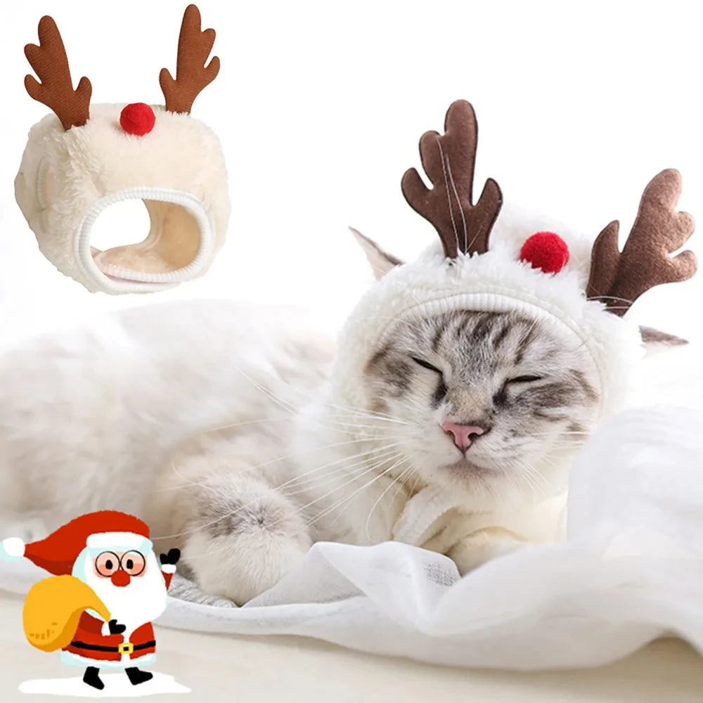 Holiday Headwear for Cats