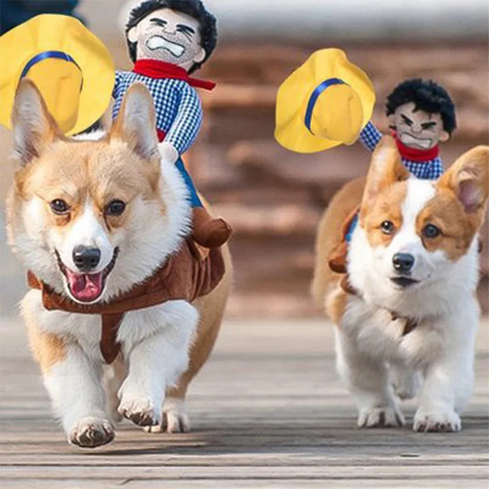 Cowboy Sidekick