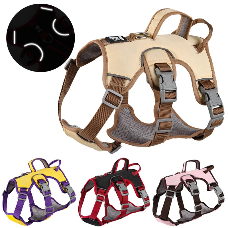 Reflective Harness