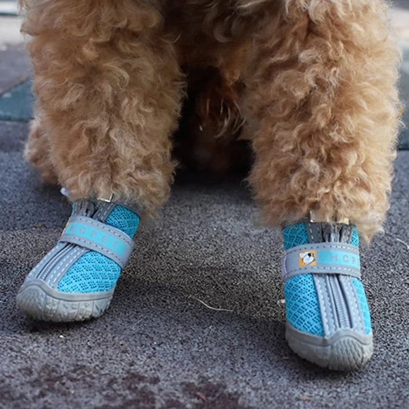 Trail Hiker