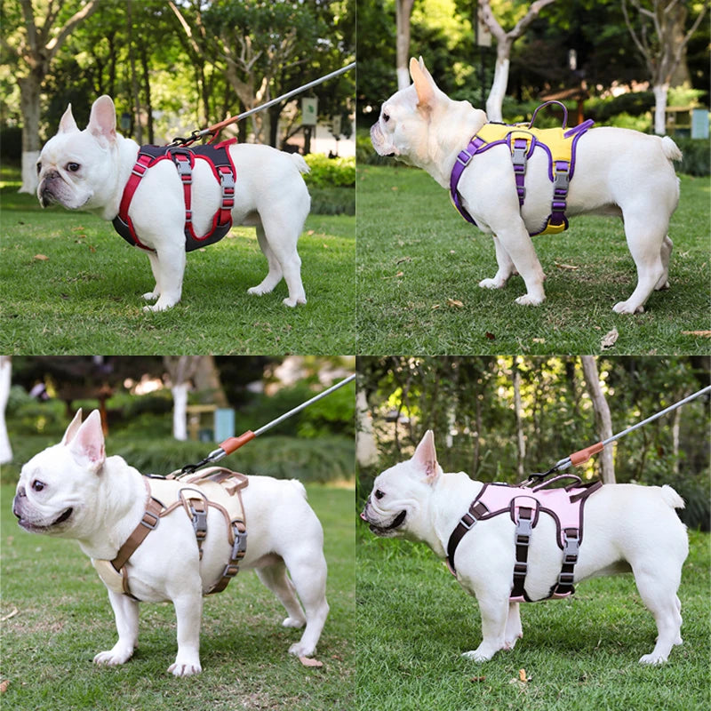 Reflective Harness