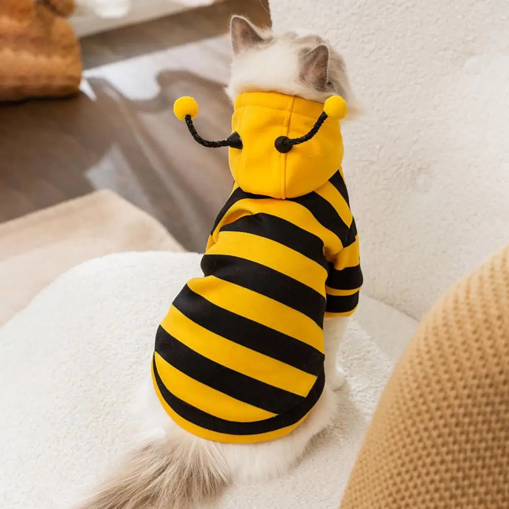 Bee Pet