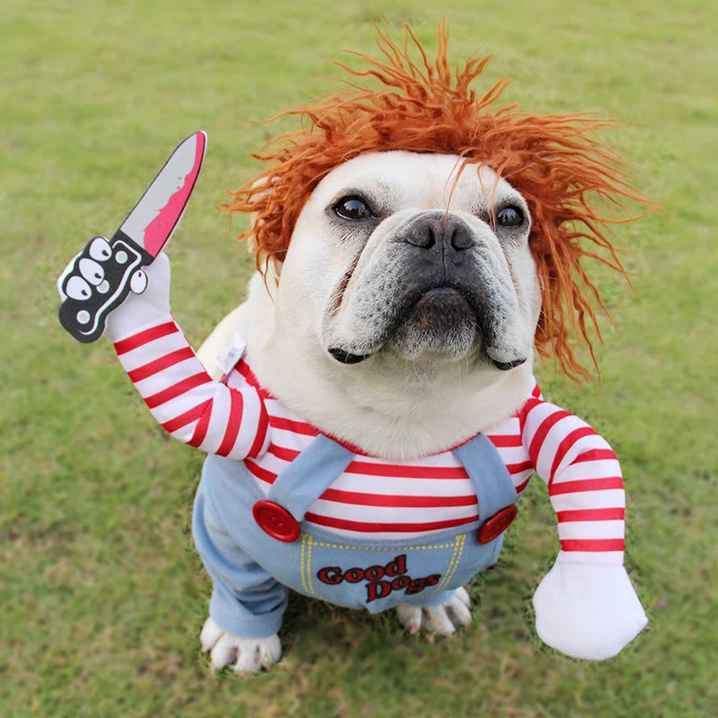 Chucky Canine