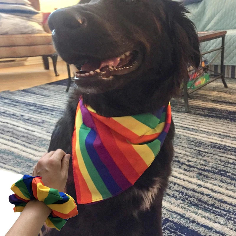 The Bow Tie Rainbow