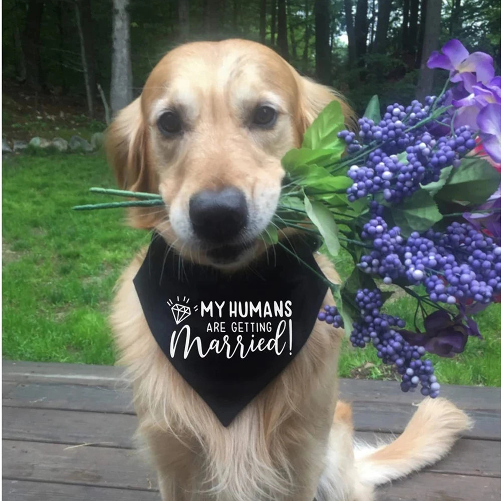 Wedding Bandana