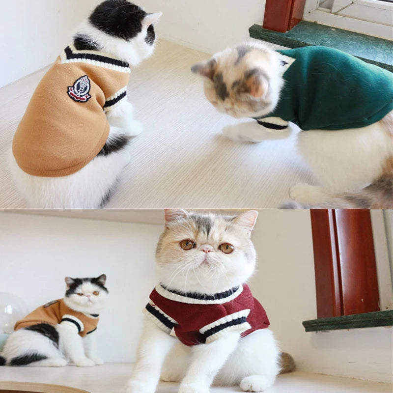 Varsity Pet Sweater