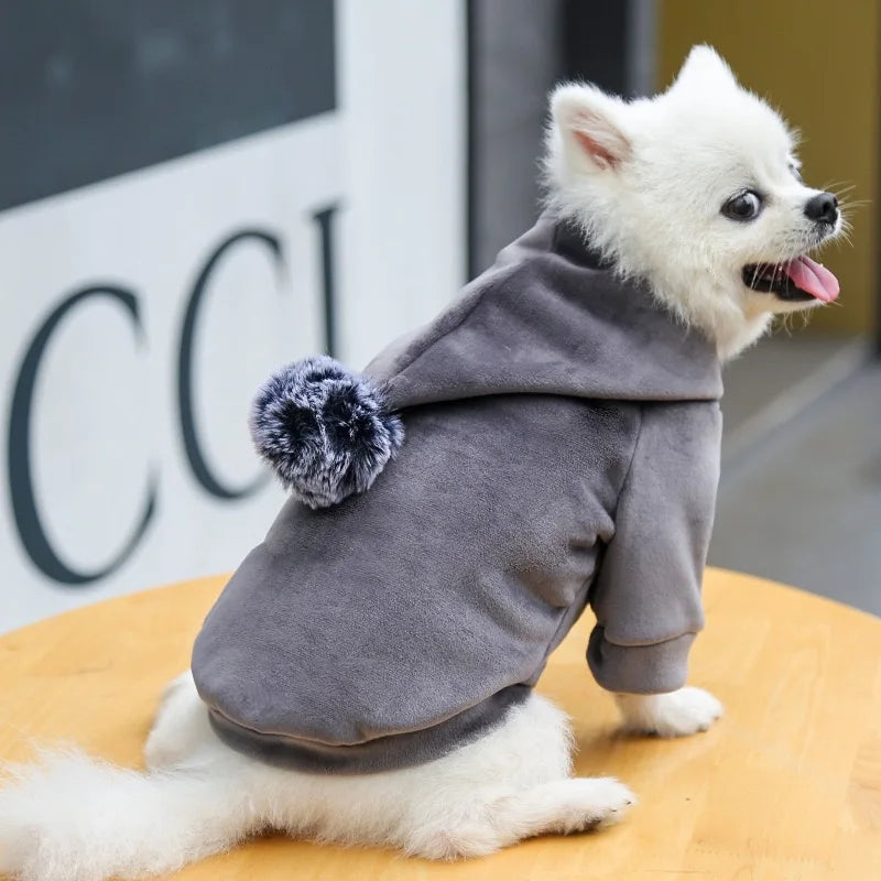 Furry Friends Hoodie