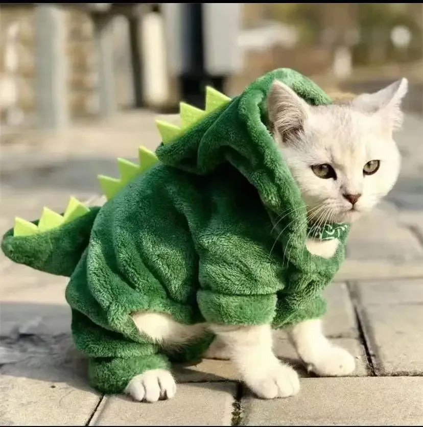 Dinosaur Costume