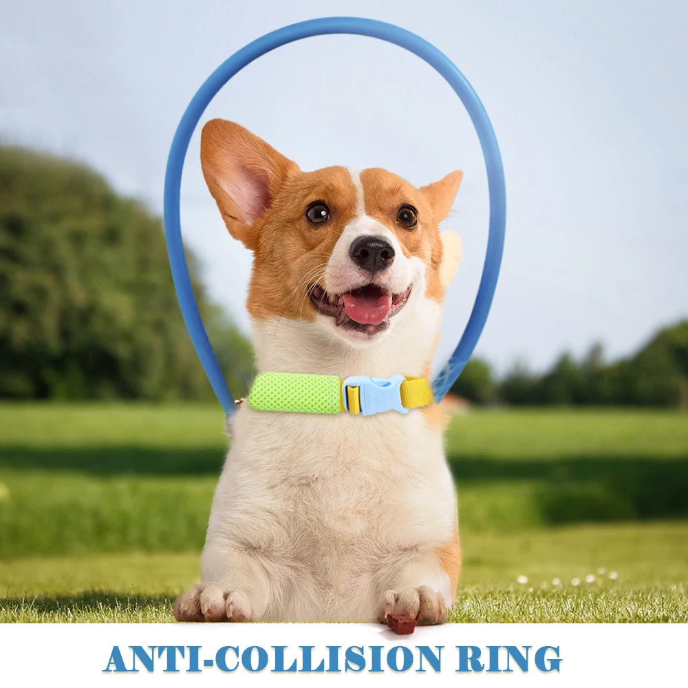 Bump Alert Anti-collision Collar