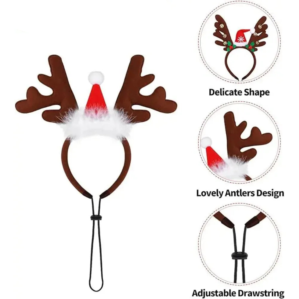 Antler Accents