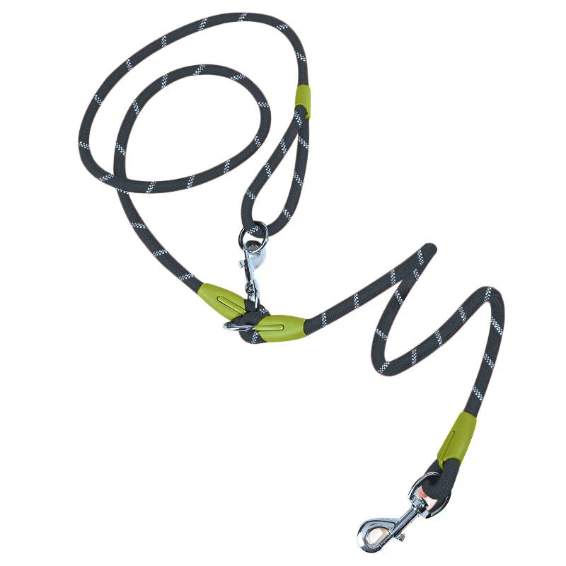 Shine & Stride Leashes