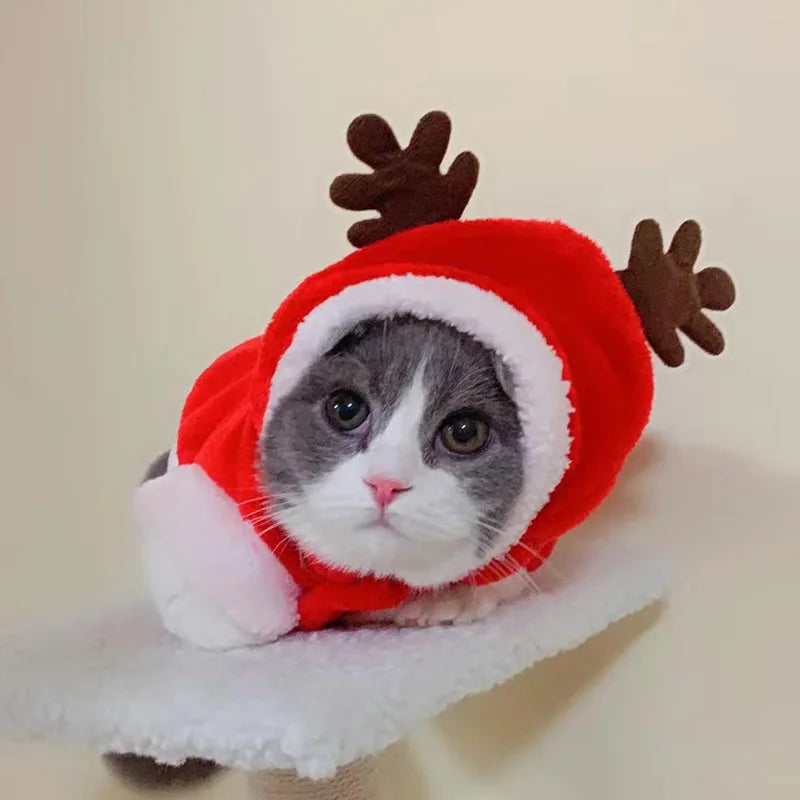 Holiday Kitty Couture