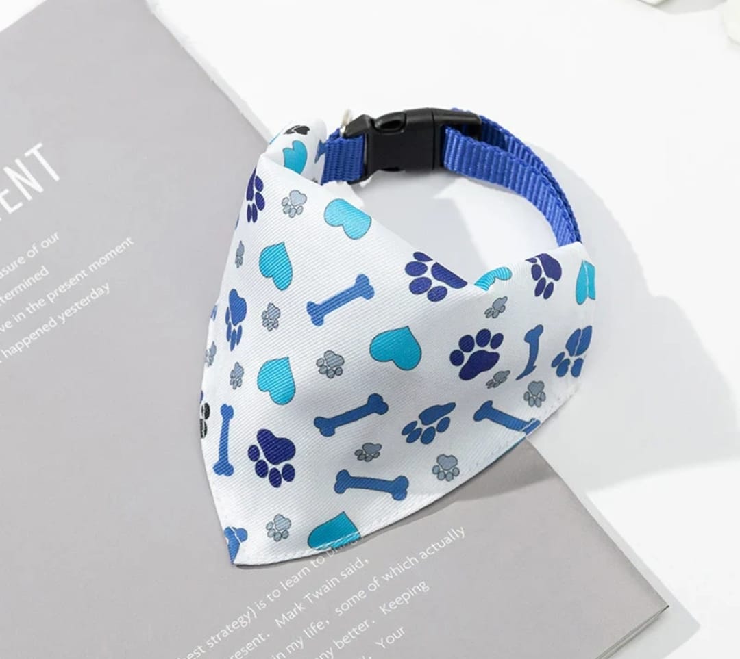 The Paws & Play Essentials Kit