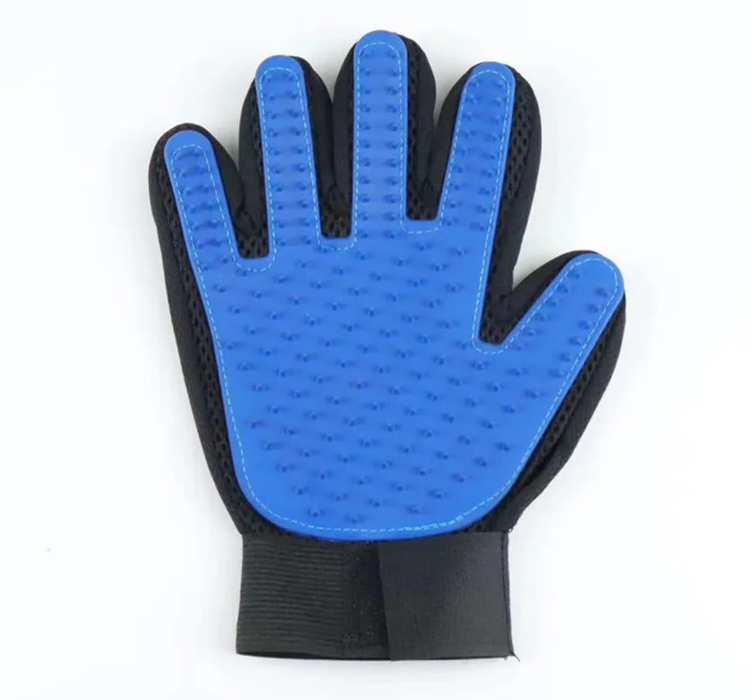 The Paws & Play Essentials Kit