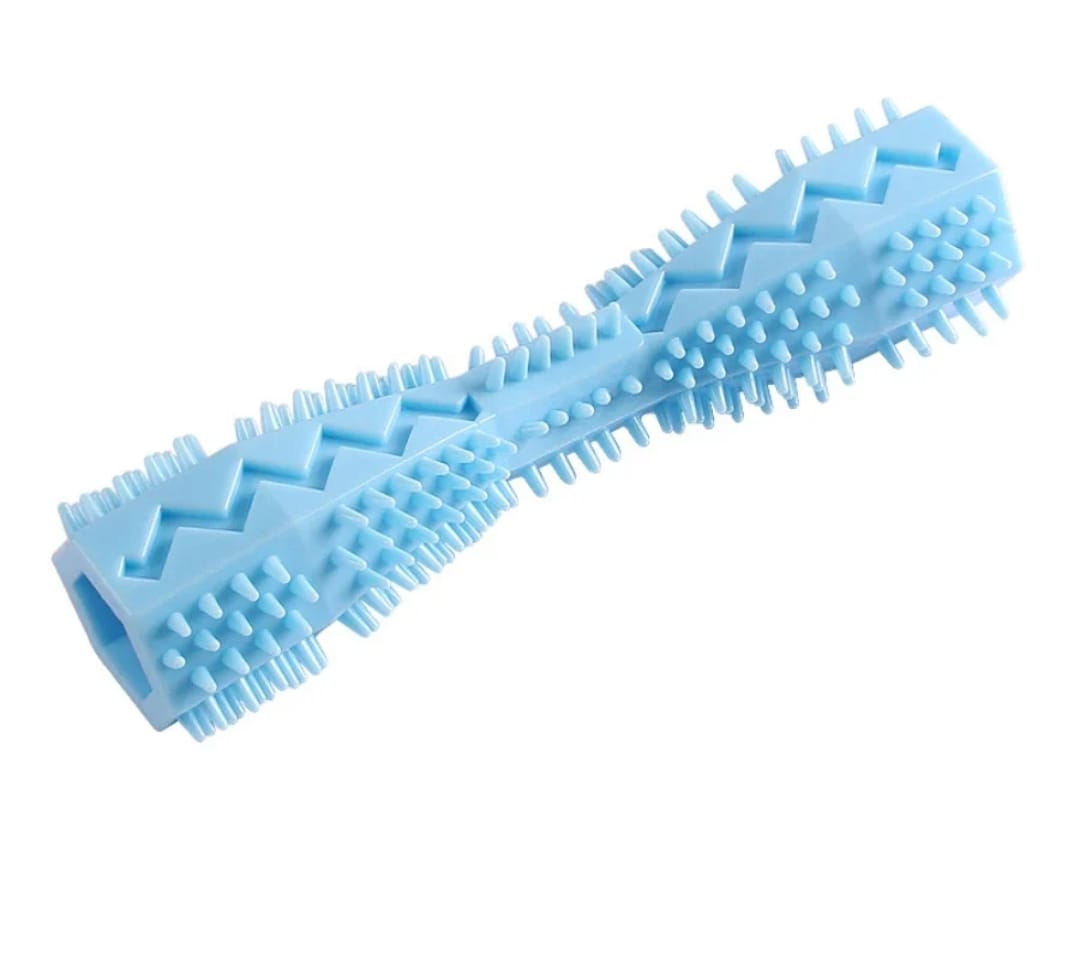 The Paws & Play Essentials Kit