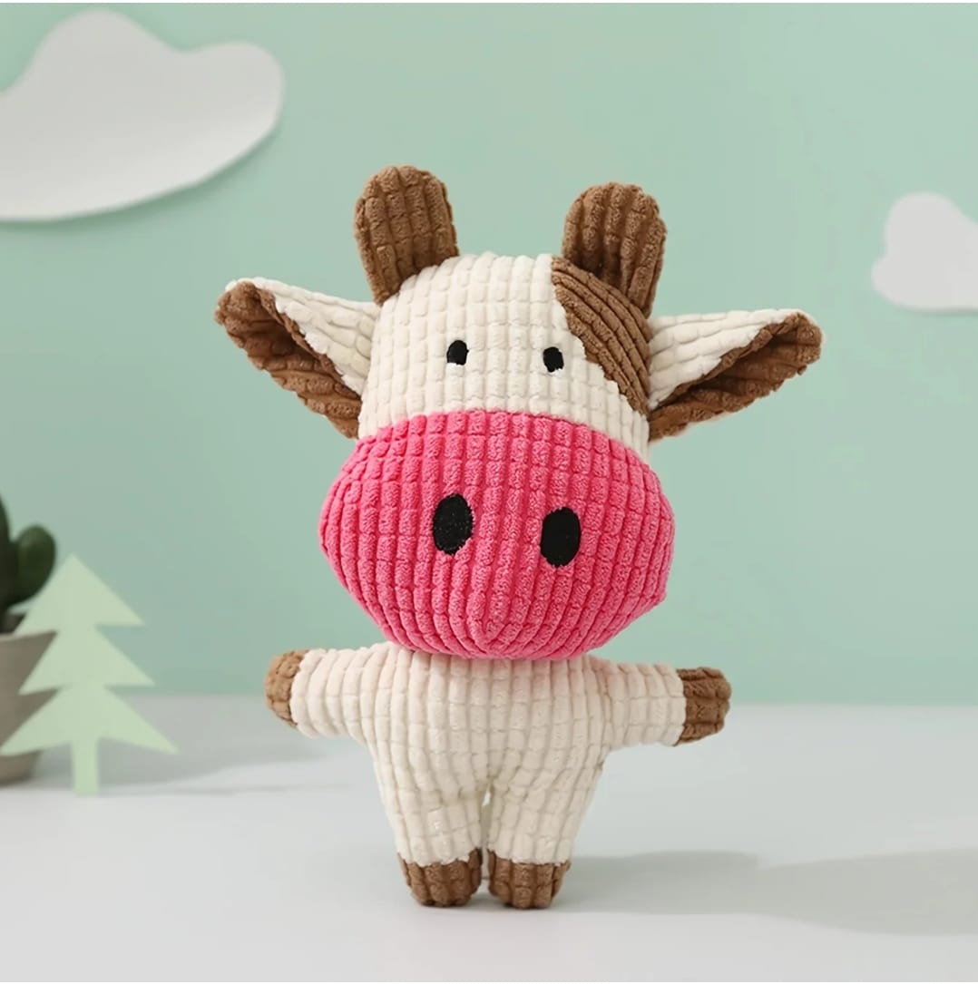 The Paws & Play Essentials Kit