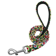 Clifford Leash Petrichor Pet