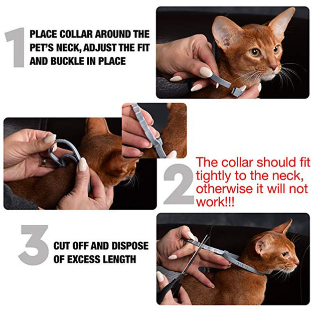 Flea Dog Collar