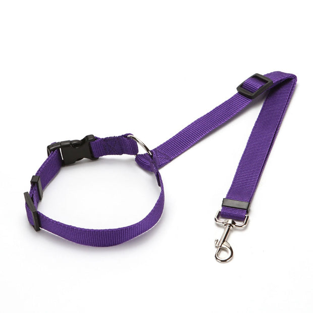 Car Seat Belt