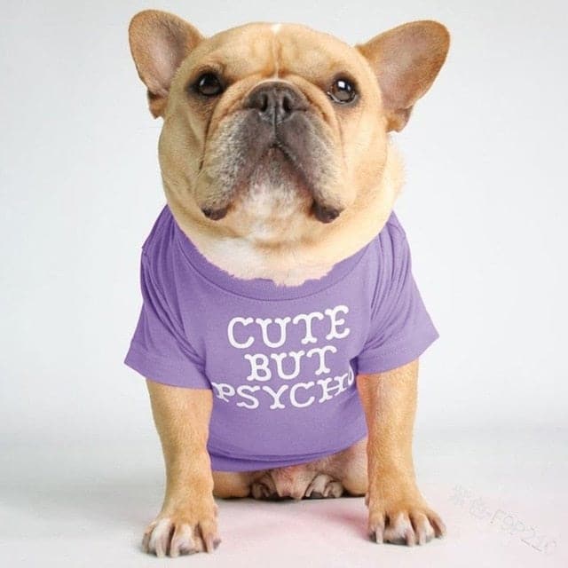 Bulldog Shirts - Petrichor Pet