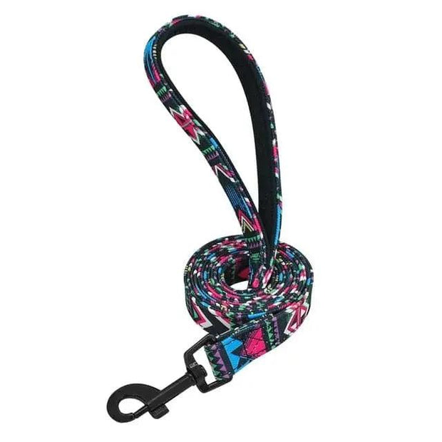 Clifford Leash - Petrichor Pet