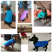 Pawtrero Petrichor Pet