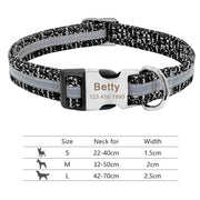 Wigglyville Collar Petrichor Pet