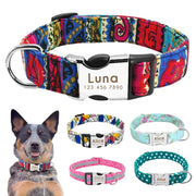 Wigglyville Collar Petrichor Pet