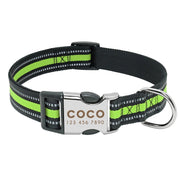 Wigglyville Collar Petrichor Pet